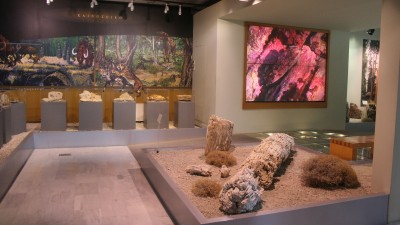 Μουσείο Απολιθωμένου Δάσους
